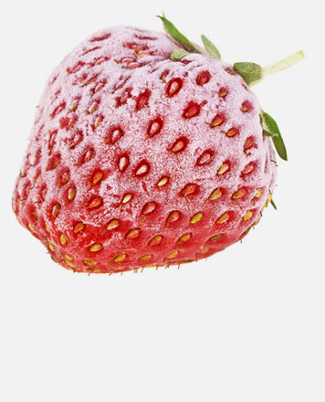 A single frozen strawberry.