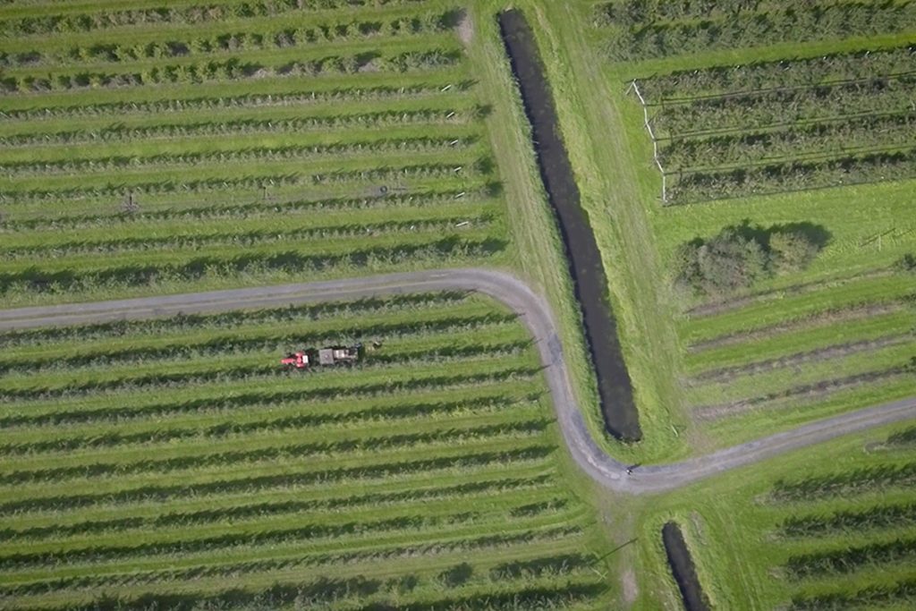 Vogelperspektive auf Felder bei der Erntearbeit