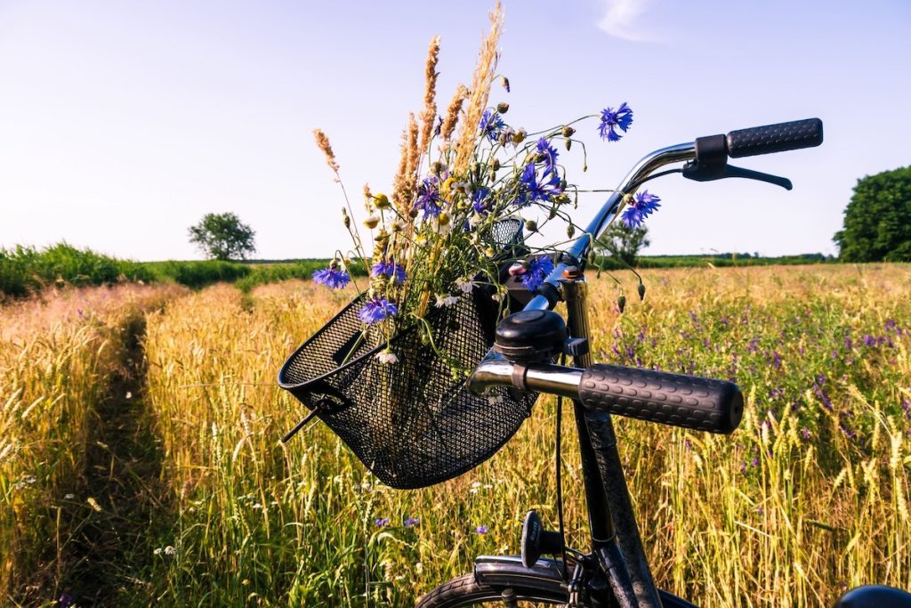 Nahaufnahme eines Fahrrads im Feld mit  einem Blumenstrauß im Korb